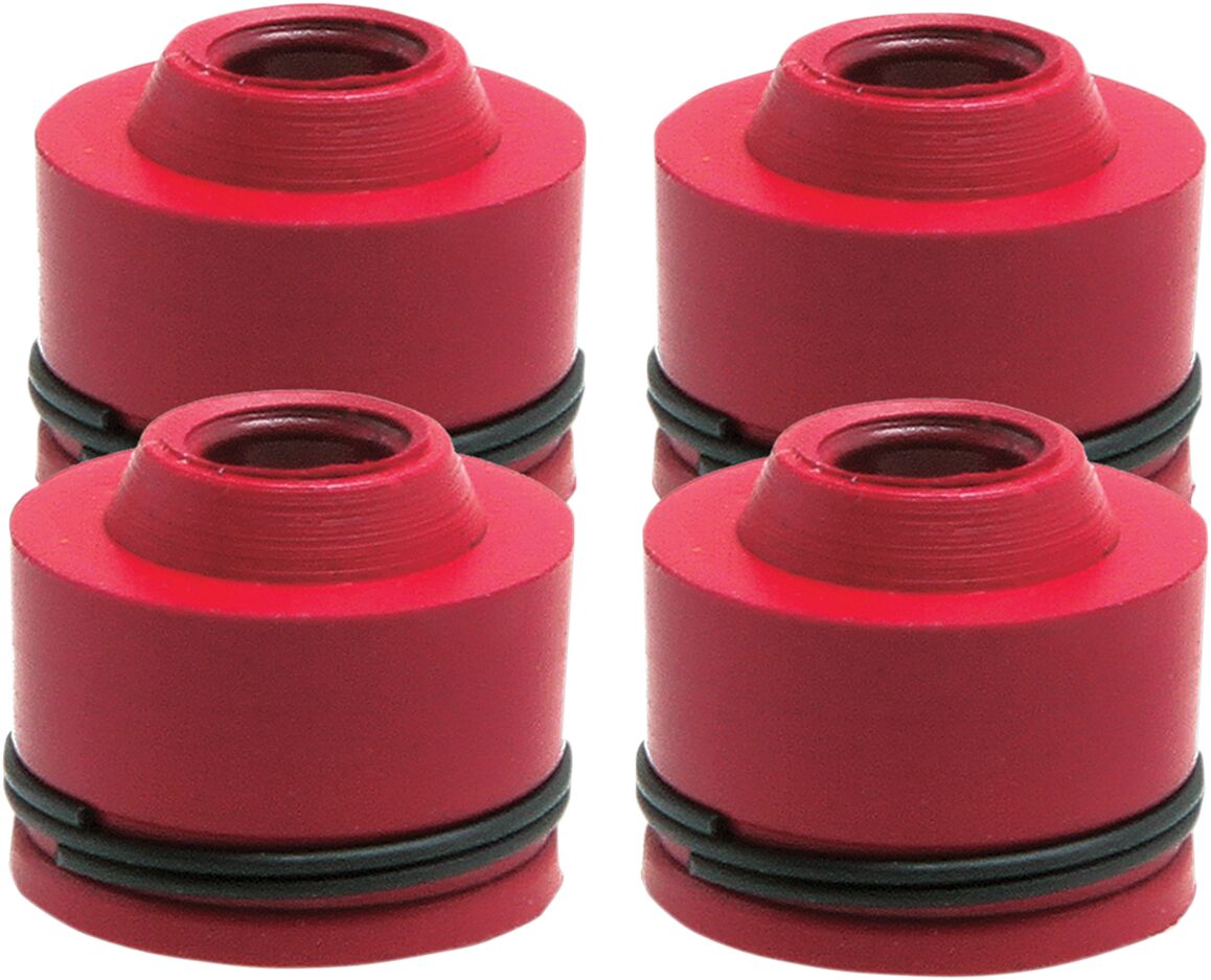 KIBBLEWHITE SEAL VLV GD KX250F 4/PK 71013-4