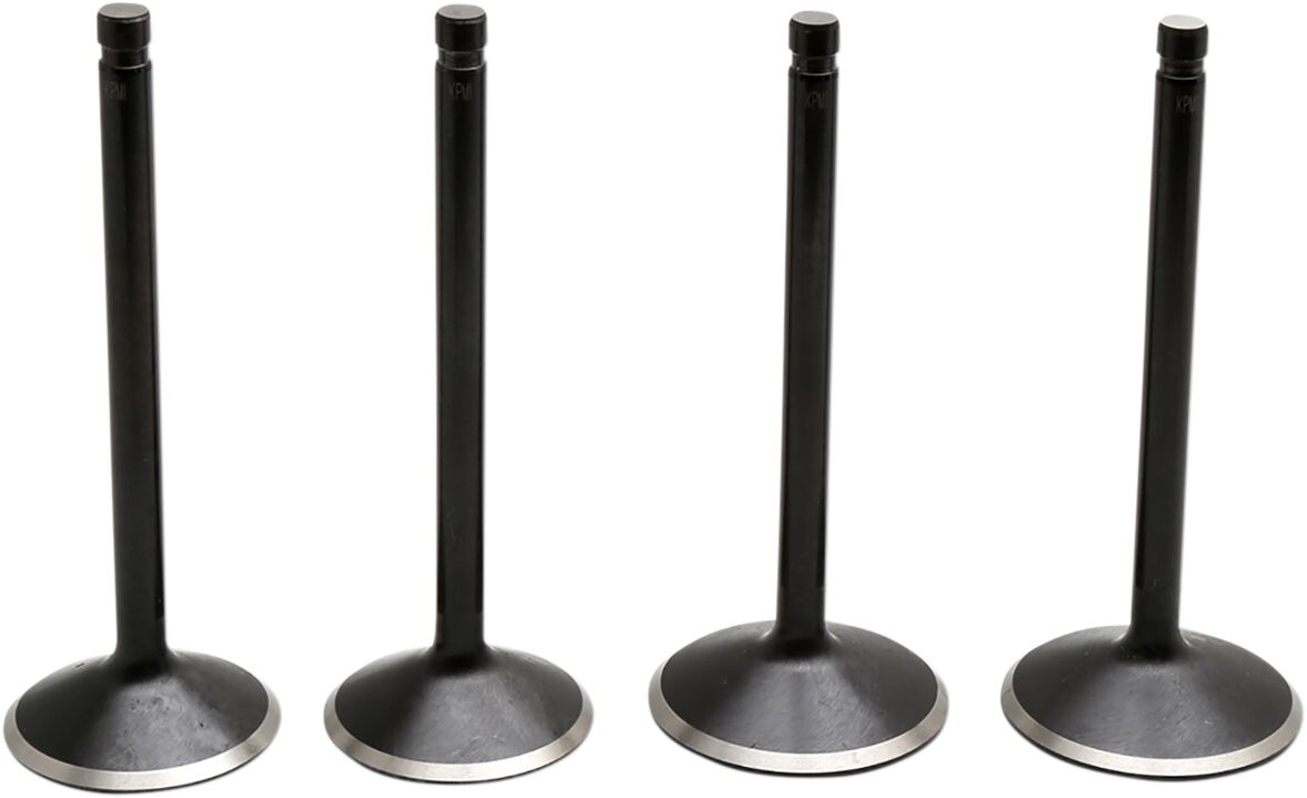 KIBBLEWHITE VALVE KIT 84-98 EVO 20-22600