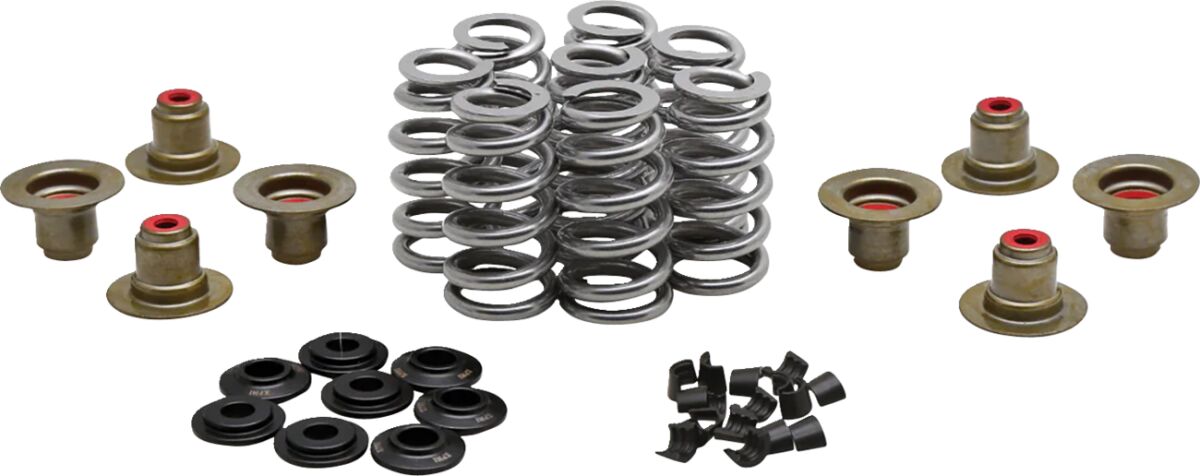 KIBBLEWHITE Beehive Spring Kit - 0.640" Lift - H.T. Steel - M8 | CVO 20-24400