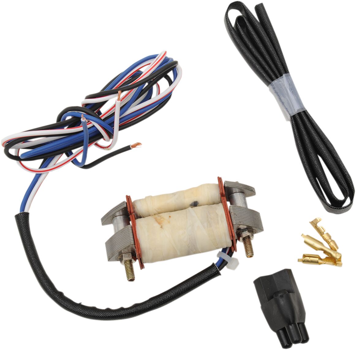 RICK'S MOTORSPORT ELECTRIC STATOR REBUILD KIT KX80 22-706