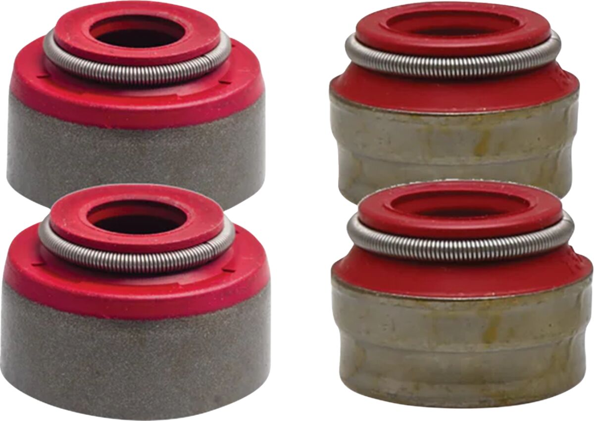 MOOSE VALVE STEM SEAL KIT INTAKE & EXHAUST VITON®/PTFE M96-96380