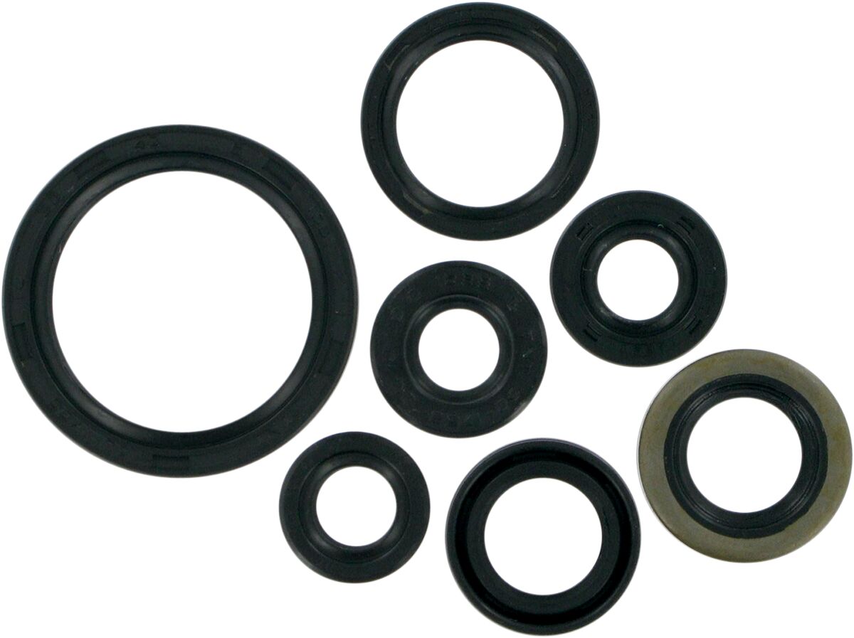 MOOSE SEAL-KIT OIL-KLX/DRZ400 822193MSE