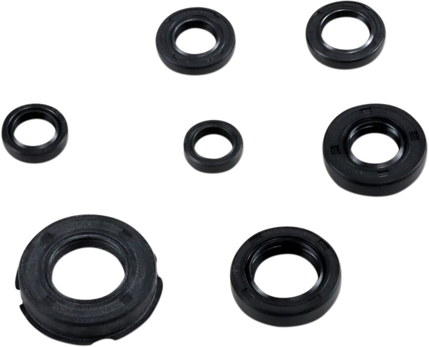 MOOSE SEAL KIT ENGINE OIL HON 822219MSE