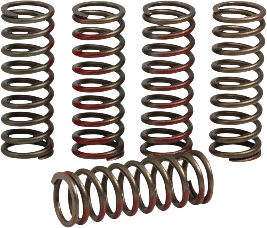 PRO CIRCUIT CLUTCH SPRING SET FOR HONDA CSH20250-CS