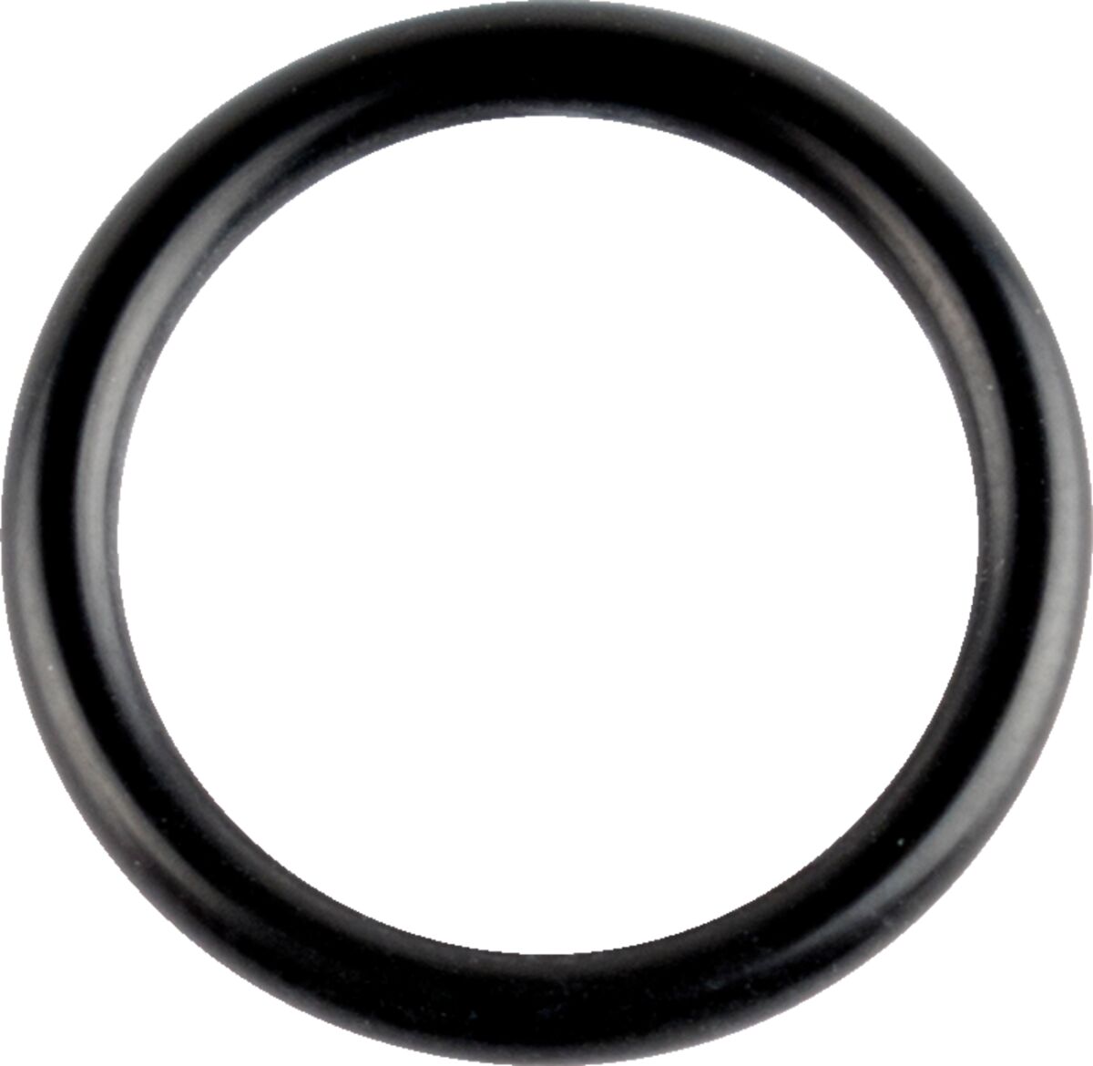 WSM ORING CRANKSHAFT 008-600-07
