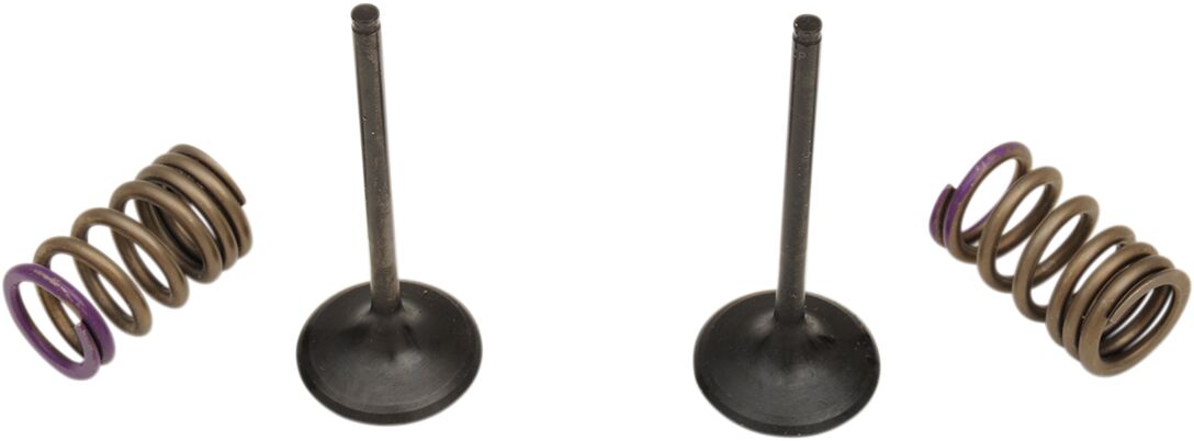 PROX VALVE AND SPRING INTAKE KIT 28.SIS4338-2