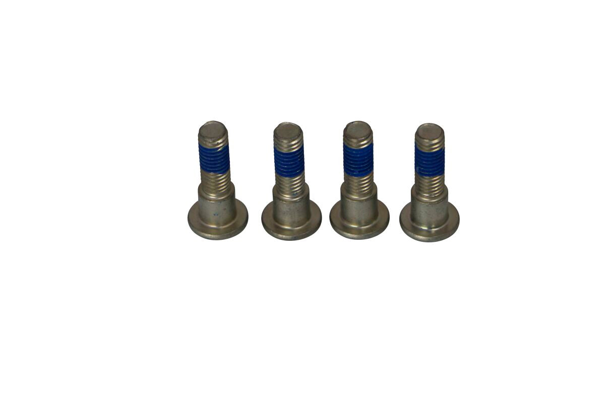 TRW BRAKE ROTOR BOLTS MSS132-4