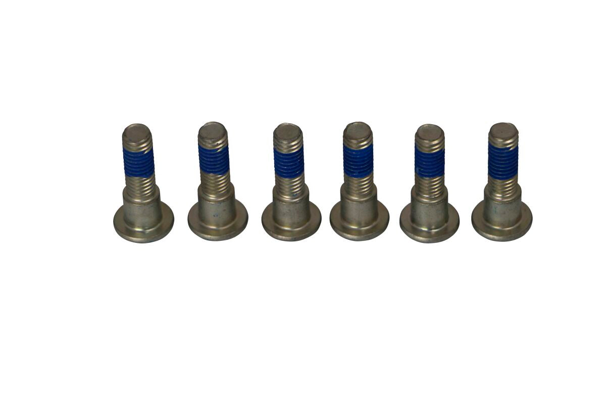 TRW BRAKE ROTOR BOLTS MSS132-6