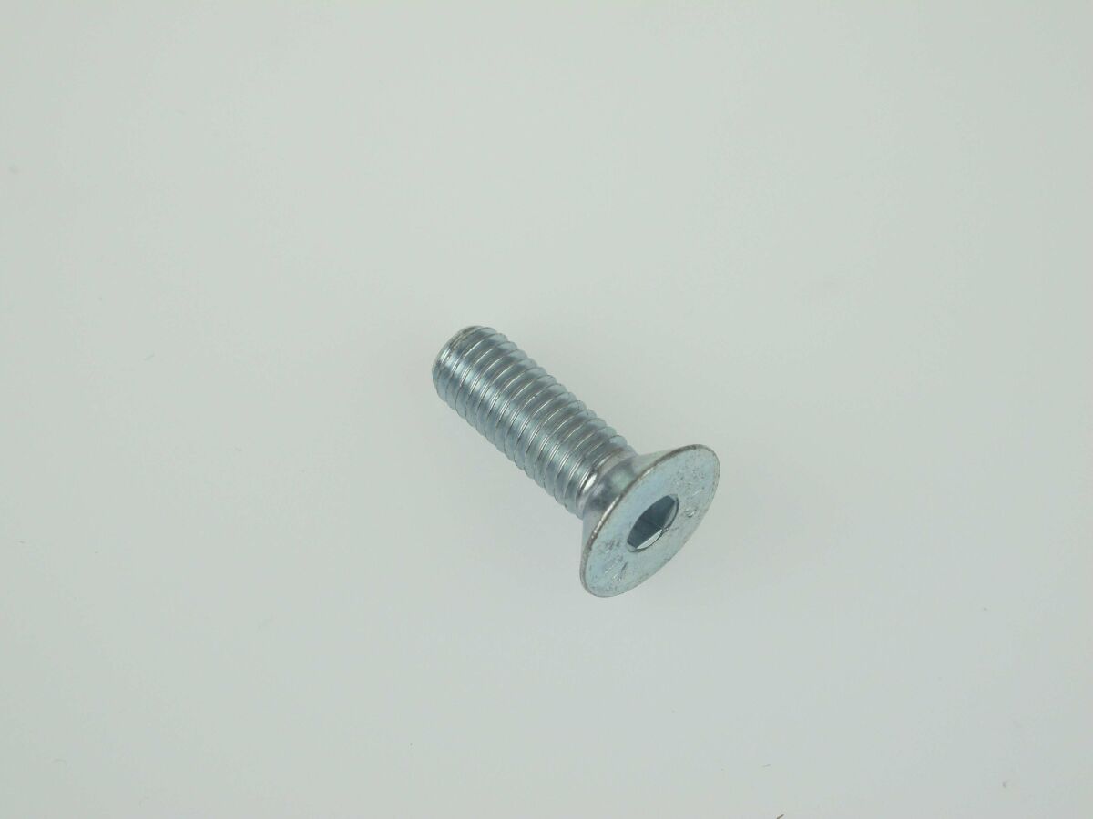 BARKBUSTERS BOLT FLAT HEAD 8mm x 25mm R-M8X25FHCSZP