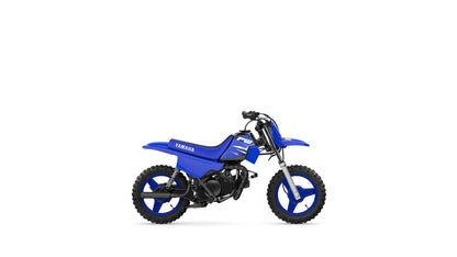 2025 PW50