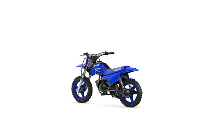 2025 PW50