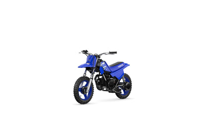 2025 PW50