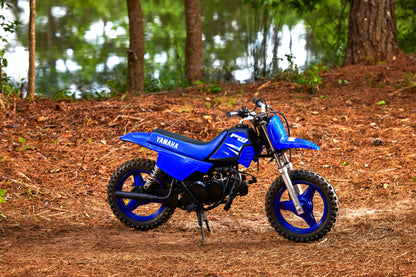 2025 PW50