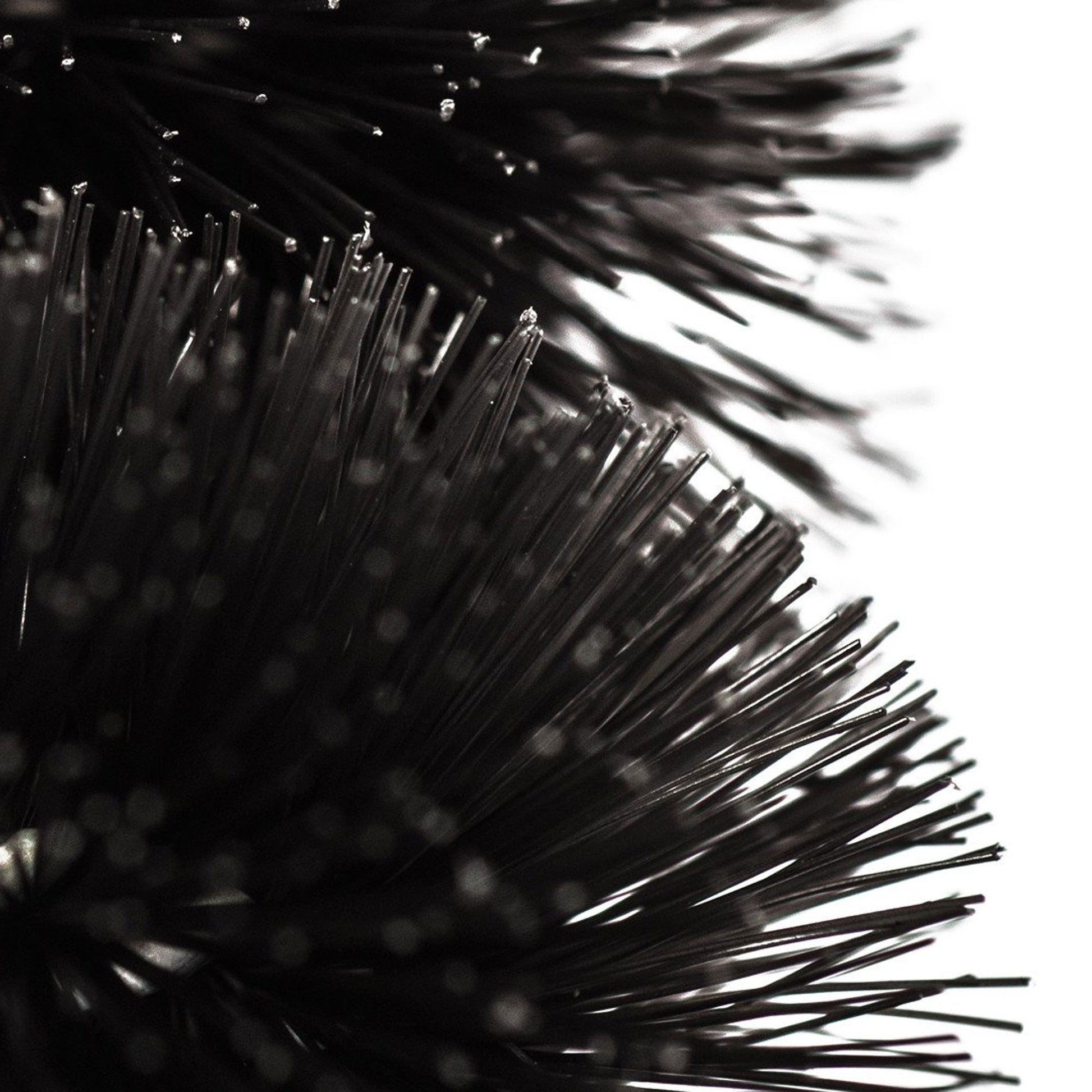 Two Prong Brush