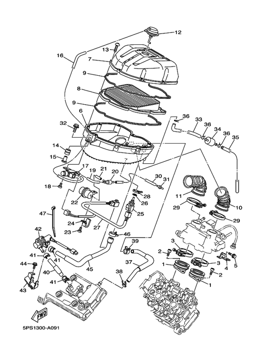 Yamaha 90445-08010 Hose — shown on the Intake parts diagram