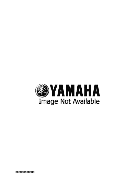 Yamaha 4ES-11630-01 Piston Assy — shown on the Optional Parts 1 parts diagram