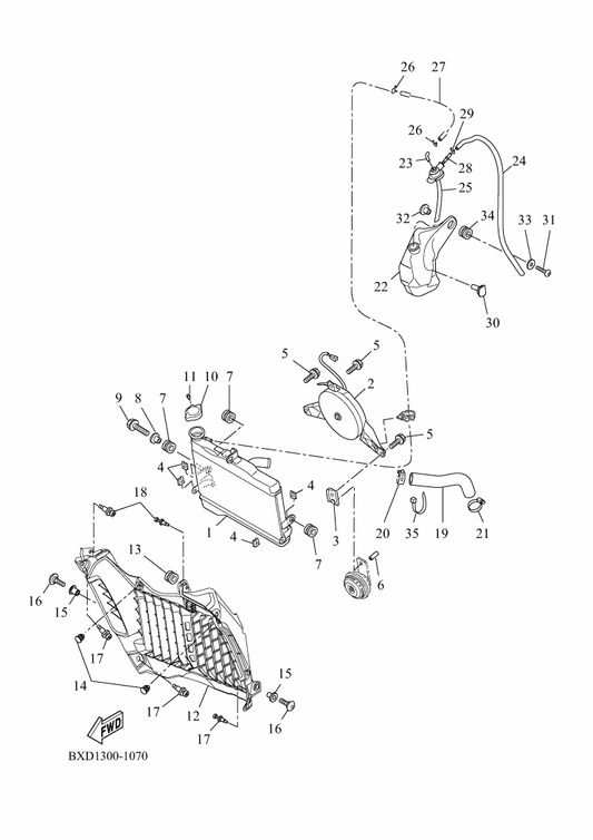 Yamaha BXD-E2498-00 Protector — shown on the Radiator & Hose parts diagram