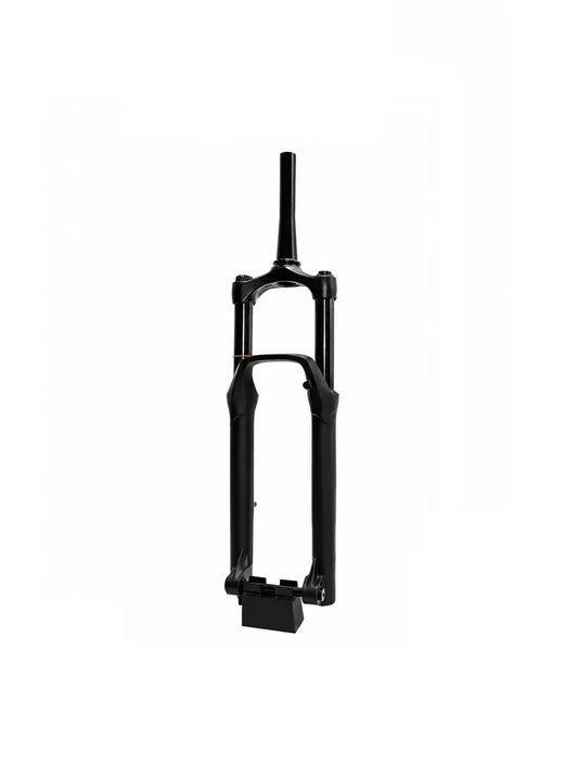 Front forks 24 305010366313-S