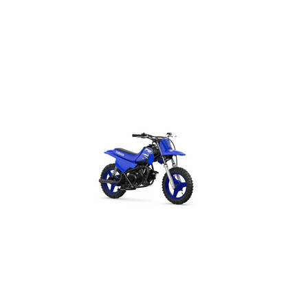 2025 PW50