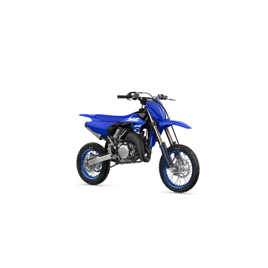 2025 YZ65