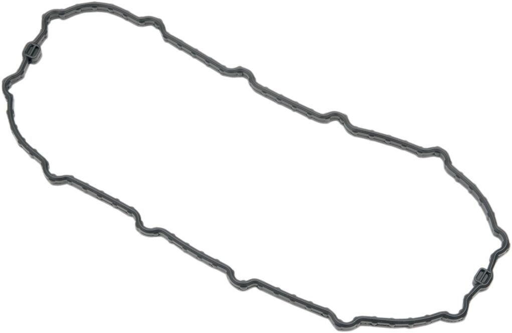 Drag Specialties SEAL F.PUMP DOOR 04-10FXD I01-0145