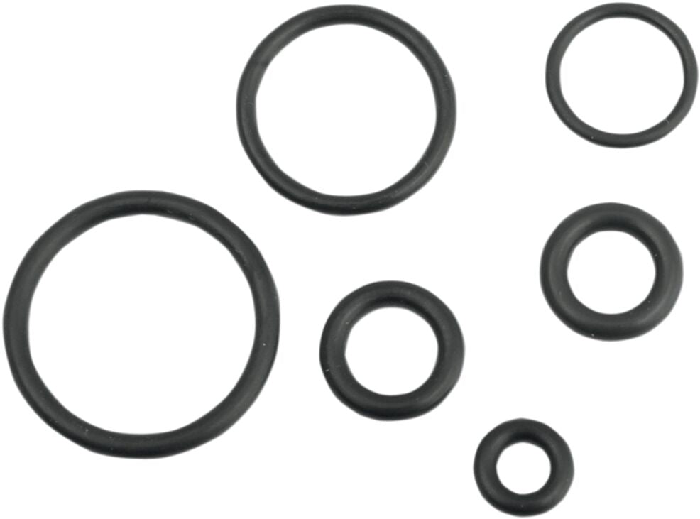 Drag Specialties O-RING KIT FOR EFI FUEL LINE T03-0082-R