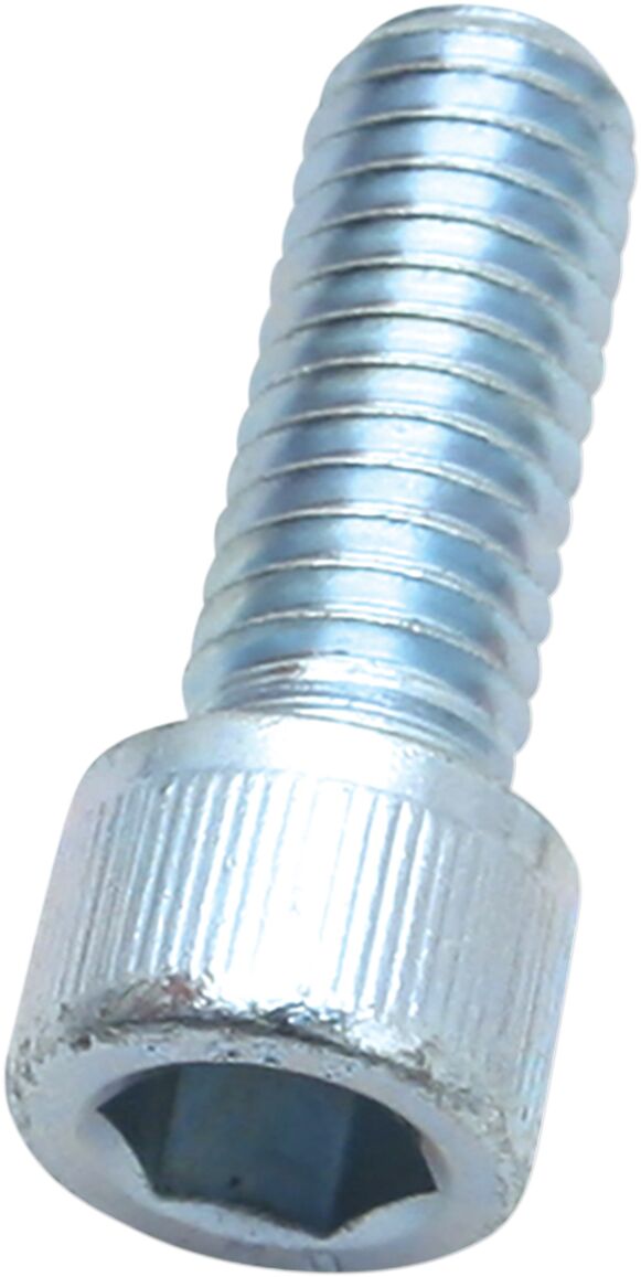 S&S CYCLE SCREW 3/8-16X1" 50-0161 50-0161