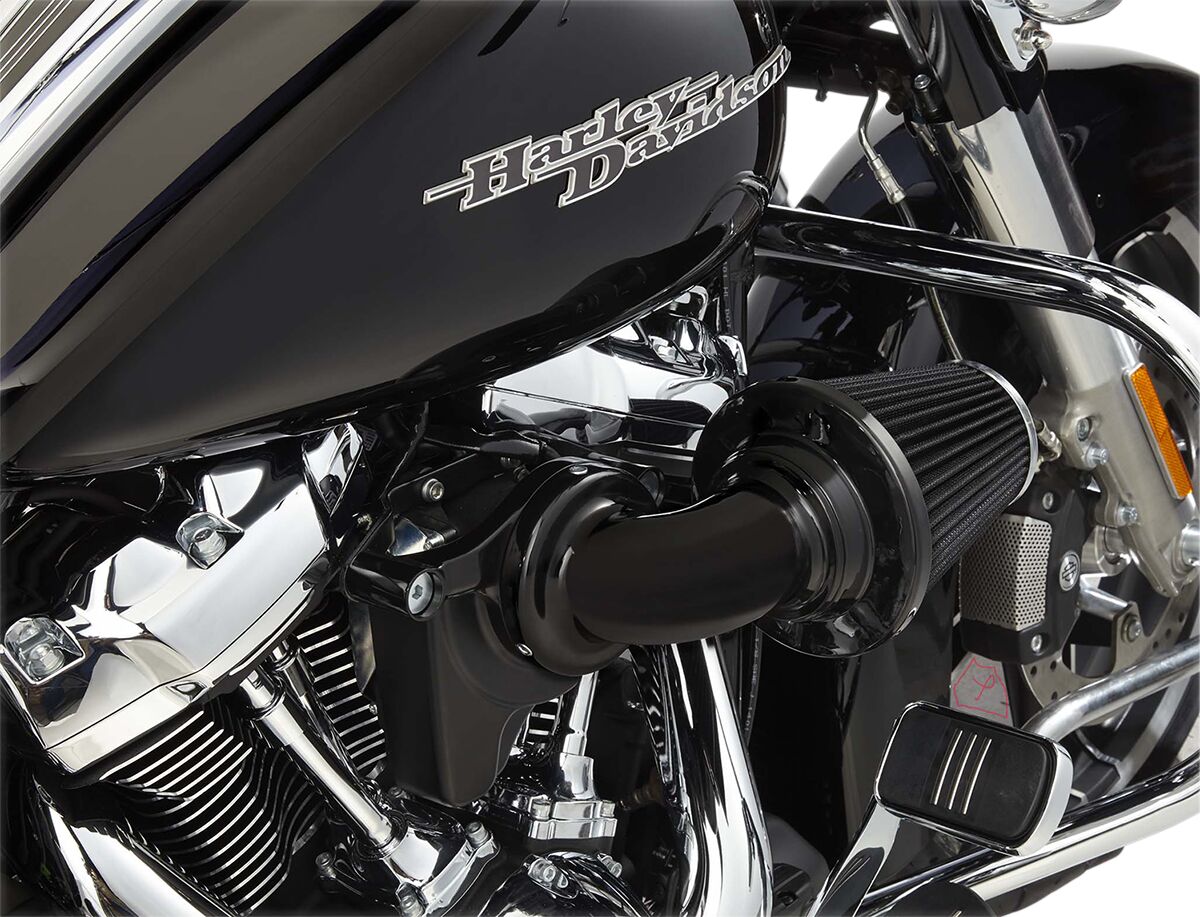 ARLEN NESS AIR CLEANER KIT MONSTER SUCKER WITHOUT COVER BLACK 81-000