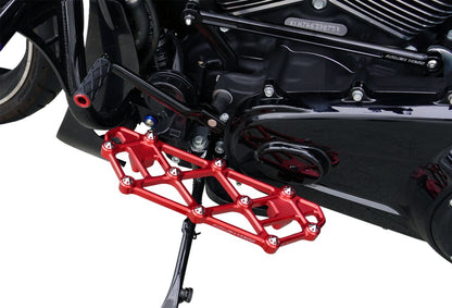 ARLEN NESS FLOORBOARD DRIVER - FLT 99-UP 410-057