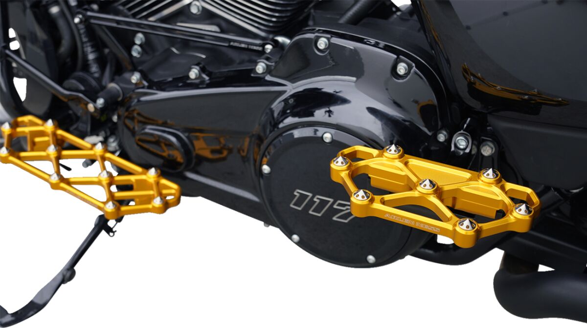 ARLEN NESS FLOORBOARD PASSENGER DIAMOND GOLD 410-061