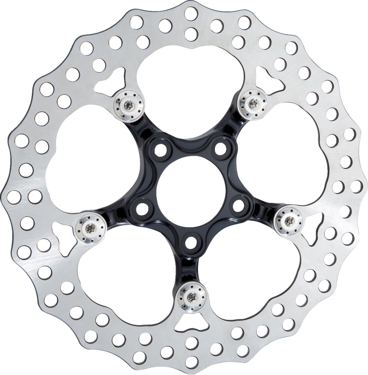 ARLEN NESS Spider Rotor - 11-4/5th" - Black 300-057