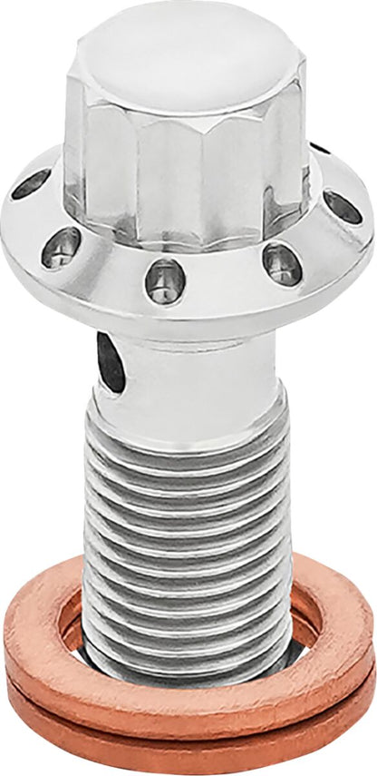 ARLEN NESS BOLT BANJO 3/8-24 POLISHED 12-PT F/R MC 00-07 TOURING 300-824