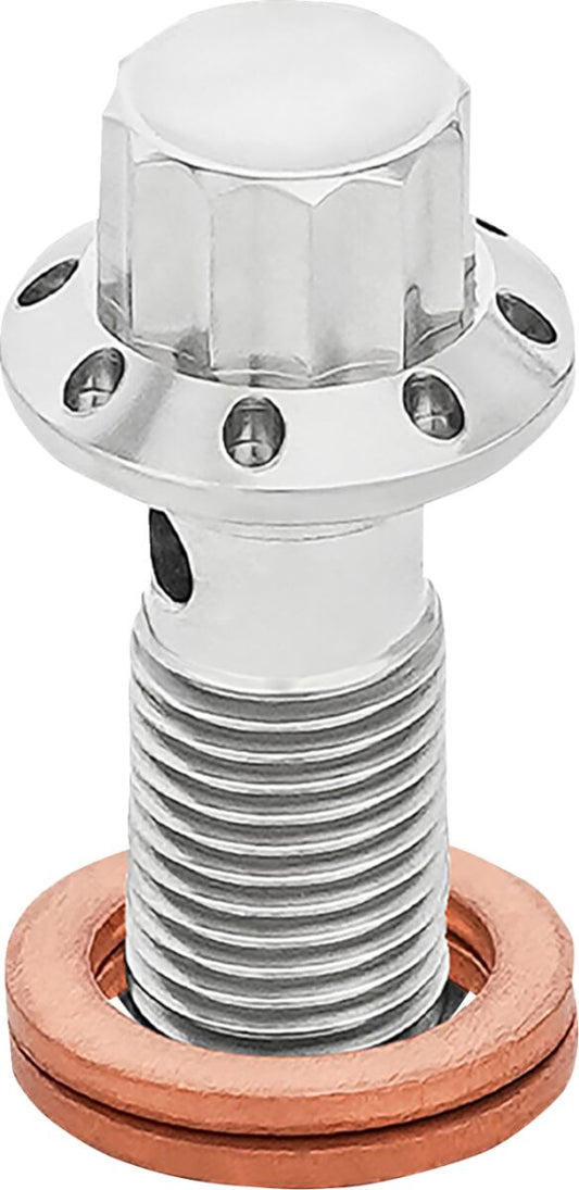 Arlen NESS Bolt Banjo 3/8-24 Polished 12-PT F/R MC 00-07 Touring 300-824