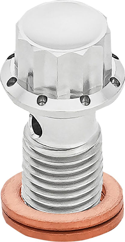 ARLEN NESS BOLT BANJO M12x1.25 POLISHED 12-PT DUAL F/R MC SOFTAIL 300-833