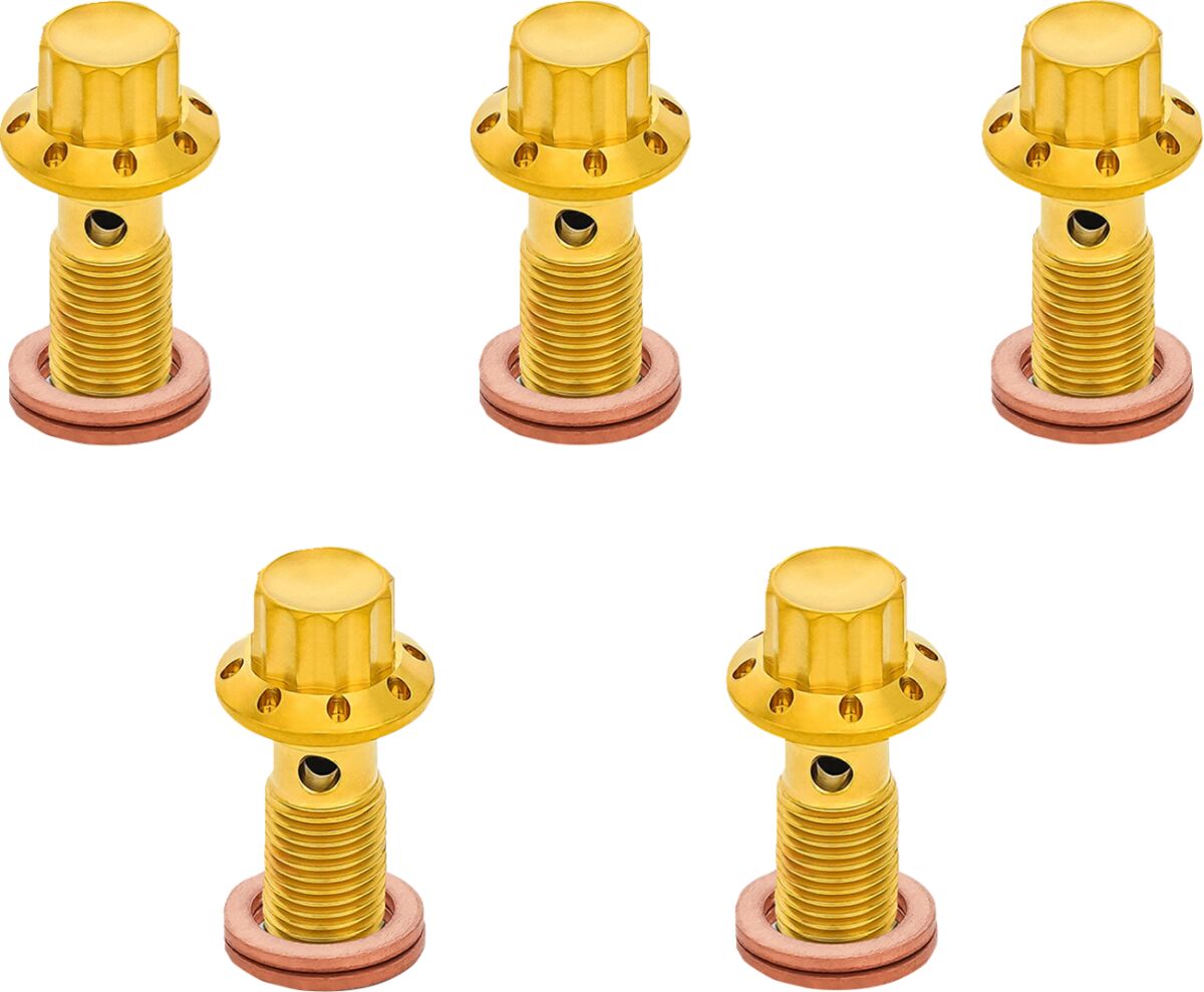 ARLEN NESS BOLT BANJO 5-PK 12 POINT 3/8-24 GOLD F/R MC 00-07 TOURING 300-856