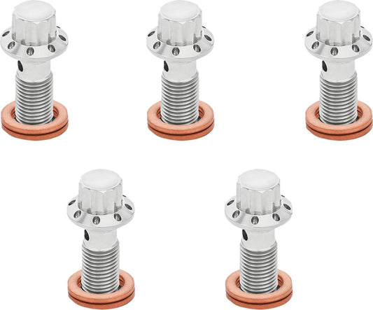 Arlen NESS Bolt Banjo 5-PK 12 Point M10x1.0 Polished F/R MC Touring 300-857