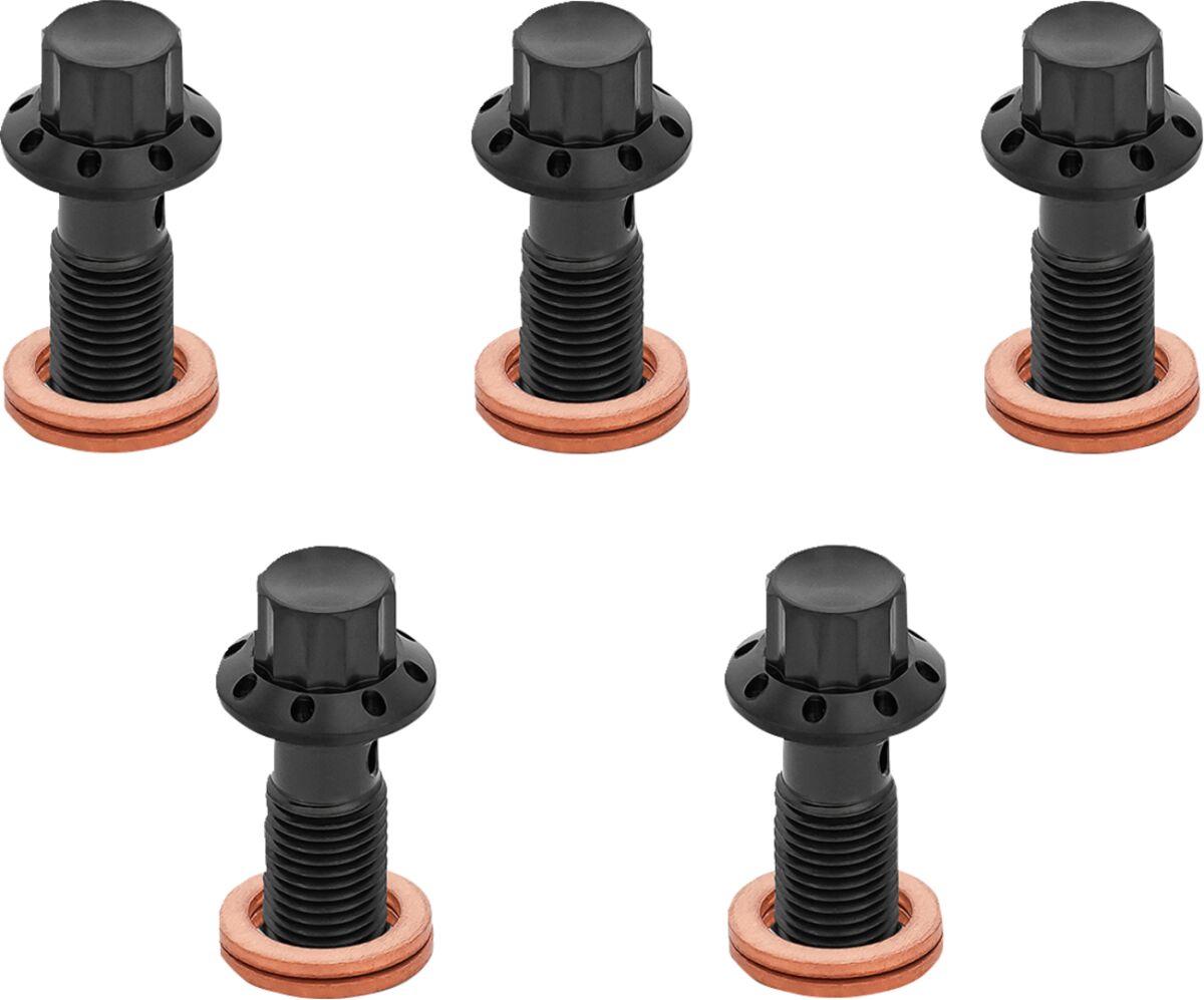 ARLEN NESS BOLT BANJO 5-PK 12 POINT M10x1.0 BLACK F/R MC TOURING 300-858