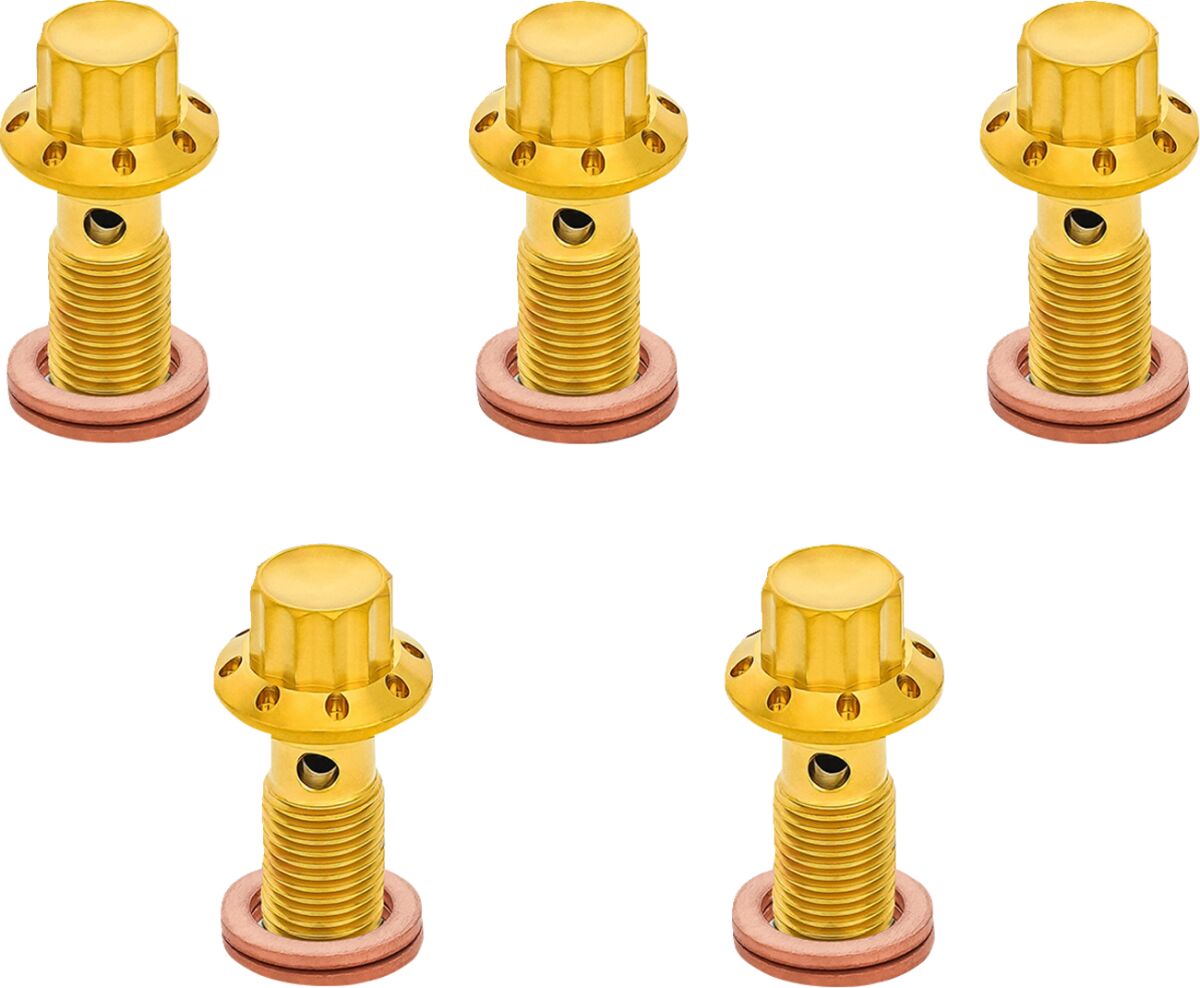 ARLEN NESS BOLT BANJO 5-PK 12 POINT M10x1.0 GOLD F/R MC TOURING 300-859