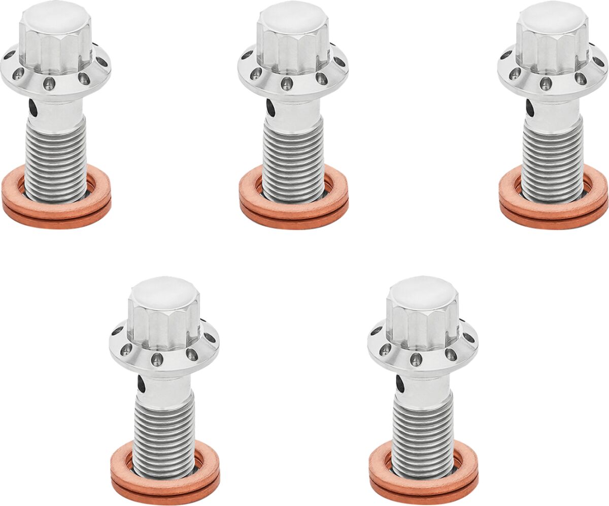 ARLEN NESS BOLT BANJO 5PK M10x1.25 POLISHED 12PT SINGLE F/R MC SOFTAIL 300-860