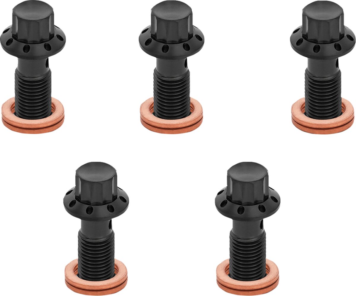 ARLEN NESS BOLT BANJO 5-PK M10x1.25 BLACK 12-PT SINGLE F/R MC SOFTAIL 300-861