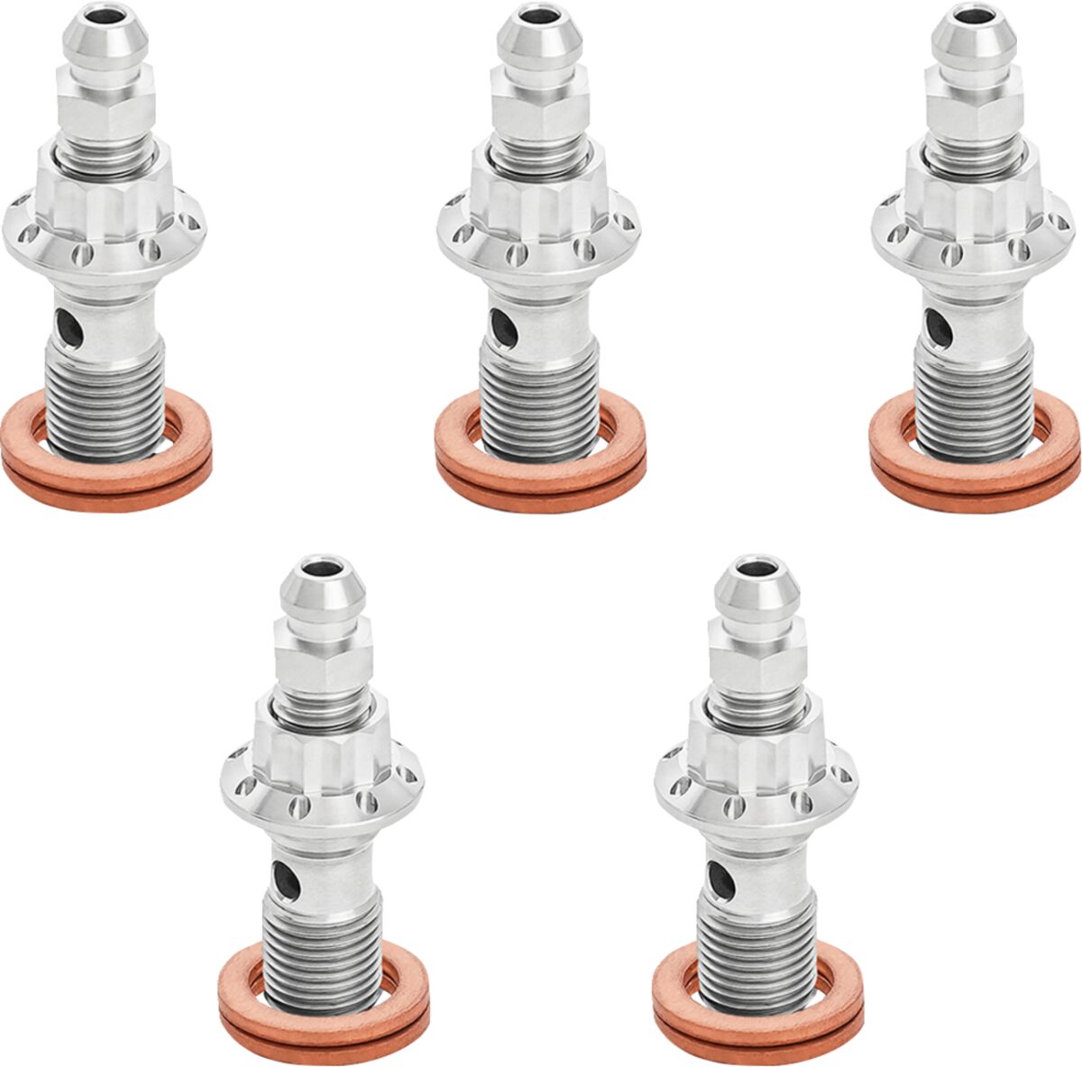 ARLEN NESS BOLT BANJO BLEEDER 5-PK 12-PT 10mm FR CALIPER POLISHED TOUR 300-866