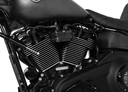 ARLEN NESS COIL COVER CARBON FIBER 24+FLT & 25 SFTL 220-010