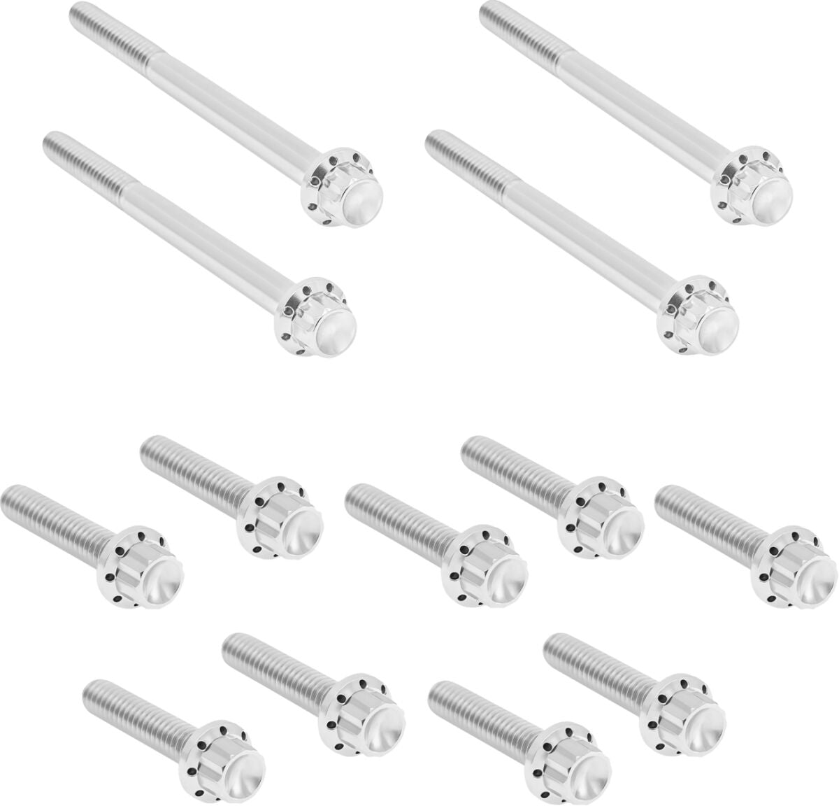 ARLEN NESS HARDWARE KIT TITANUIM 12PT PRIMARY COVER POLISH 300-929