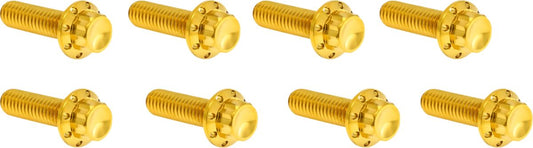ARLEN NESS Bolt Kit - Lifter Block - 12-Point - Gold 300-937