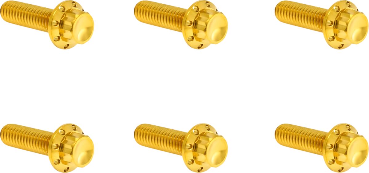 ARLEN NESS Bolt Kit - Transmission Top Cover - 12-Point - Gold 300-949