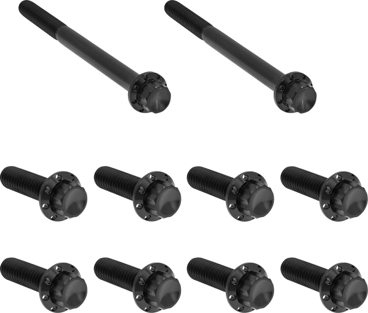 ARLEN NESS Bolt Kit - Transmission Side Cover/Trap Door - 12-Point - Black 300-951