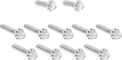 ARLEN NESS Bolt Kit - Cam Cover/Point Cover - 12-Point - Polished 300-980