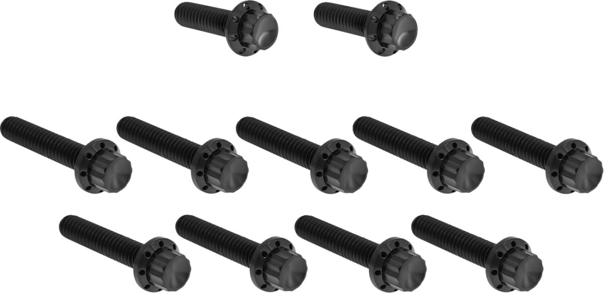ARLEN NESS Bolt Kit - Cam Cover/Point Cover - 12-Point - Black 300-981