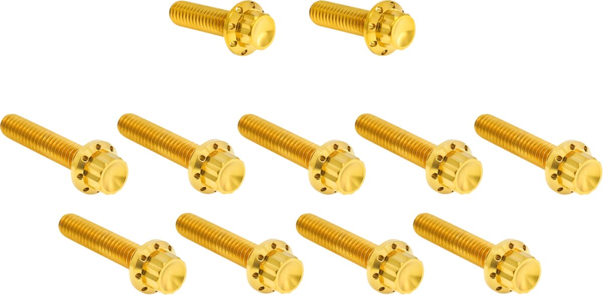 ARLEN NESS Bolt Kit - Cam Cover/Point Cover - 12-Point - Gold 300-982