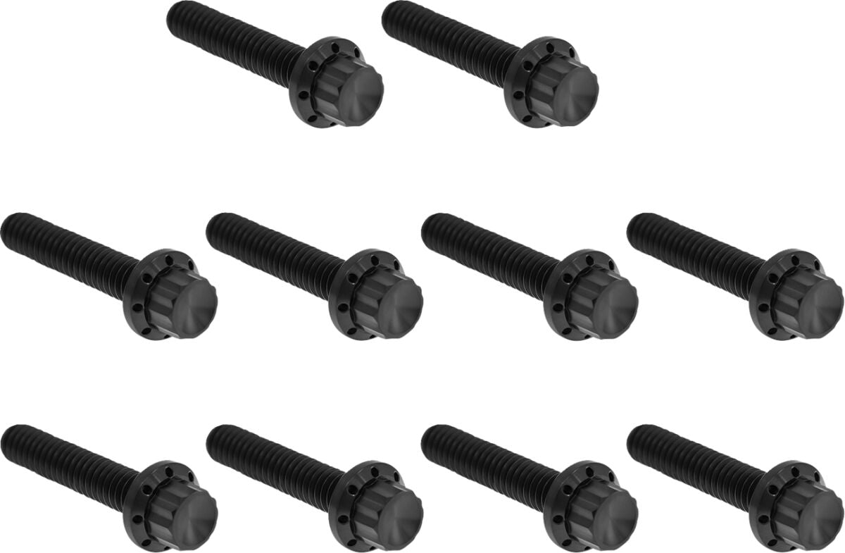 ARLEN NESS HARDWARE KIT TITANUIM 12PT CAM & POINT CVR BLACK 300-987